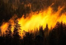 डढेलोको जोखिम बढ्दो, पूर्वतयारी कमजोर