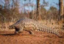 माडीमा सुरू भयो सालक सम्मेलन