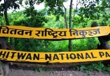 निकुञ्जका वन्यजन्तुलाई नहरको पानी