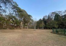 ‘हरित कूटनीति’लाई वेवास्ता