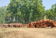 निजी वनमा साल कटान फुकुवा, खेतबारीमा अझै प्रतिबन्ध