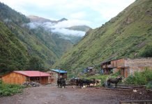 थपियो निकुञ्ज, प्रशासनिक पाटो अन्योल