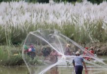 हिजो खोलामा करेन्ट लाउने उनीहरू बने माछा संरक्षण अभियन्ता, कसरी आयो बदलाव ?