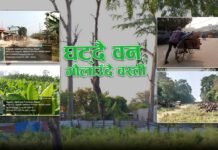 वन फडानीको भयावह अवस्थाः सुकुम्बासीको नाममा साढे २८ हजार कट्ठा जग्गा कब्जा