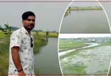 कोही व्यवसायिक माछा पालनमा, कोही ‘एग्रो टुरिजम’मा