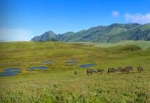 वन संरक्षण क्षेत्र खारेज गर्न माग